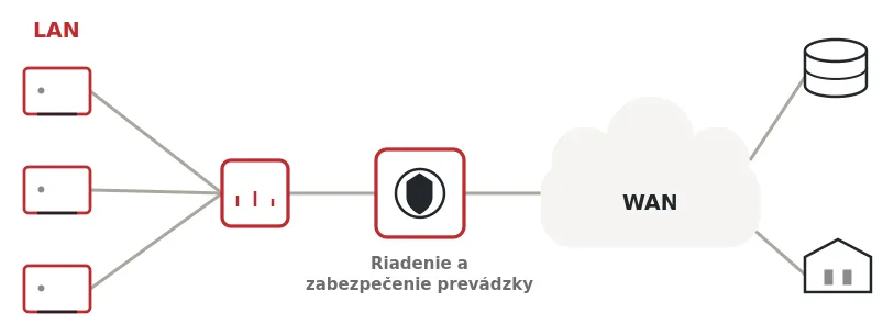 Diagram of LAN and WAN network connectivity with branch sites